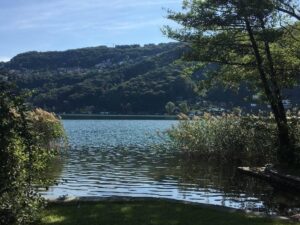 Property 0980ae4c2e354cf5d6d1c788b96668eb 80968825 300x225