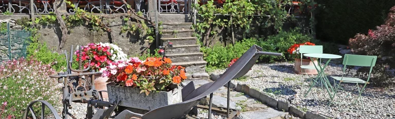 giardino 768x233