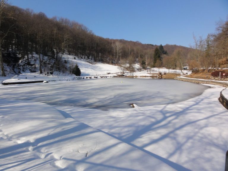 laghetto inverno da struttura da riva 768x576