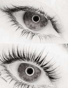 9093effedf66fc7a 234x300