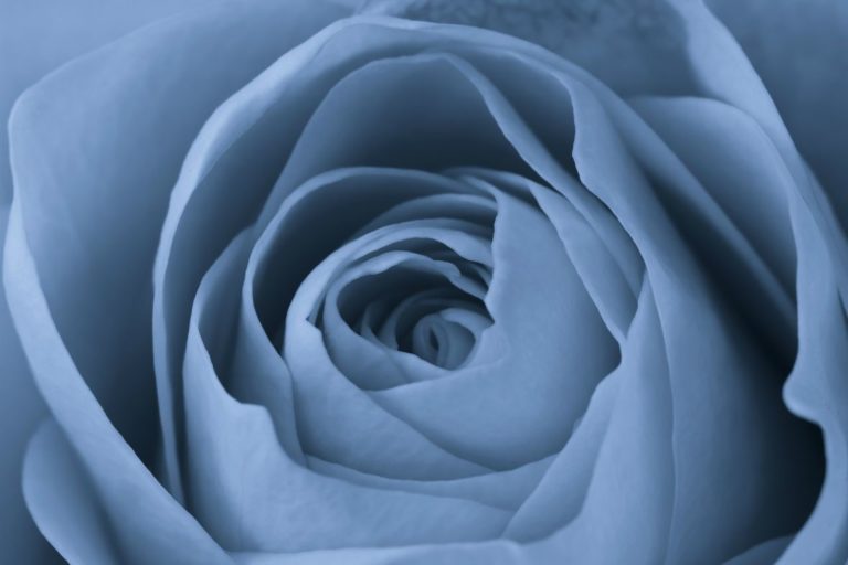 AdobeStock 29356389 768x512