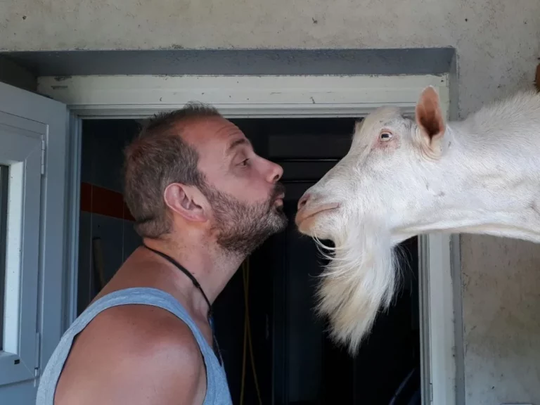 Davide con capra 768x576