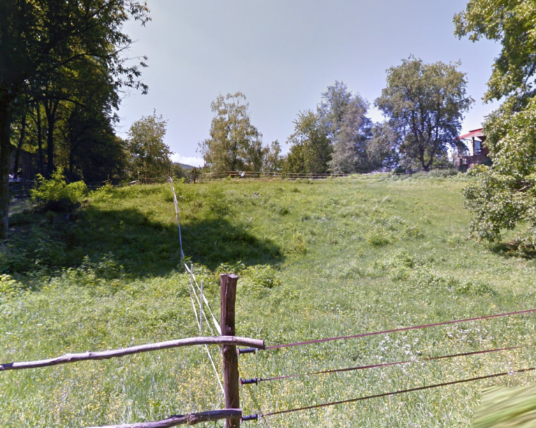 Immagine 2023 05 21 164447 768x614