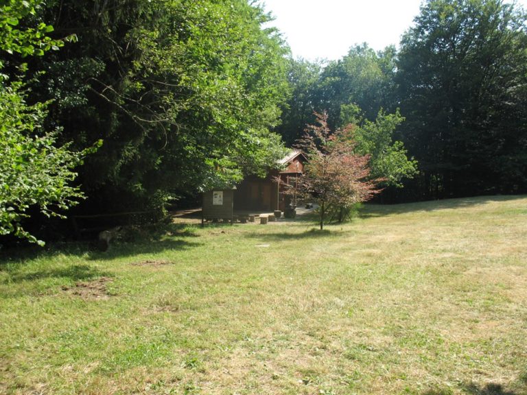 Terreno AccessoAulaBosco 768x576