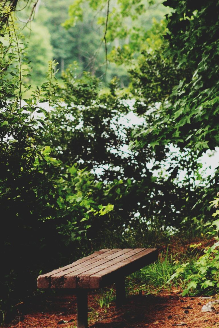 brandi redd HKNjFR868eA unsplash 768x1152