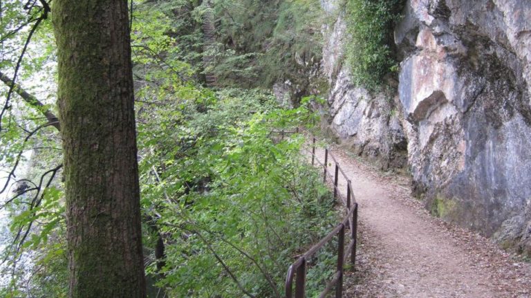 caslano monte caslano 3655 0 2086195485 768x431