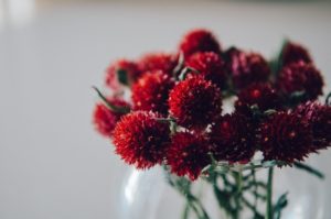 daria krav dcF5d6pqlP8 unsplash 300x199