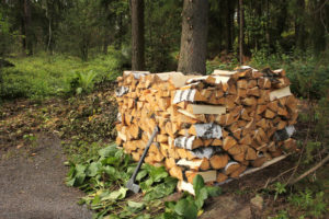 legna da ardere spaccata betulla 300x200