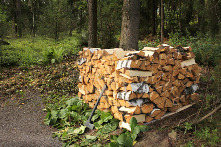 legna da ardere spaccata betulla 768x512