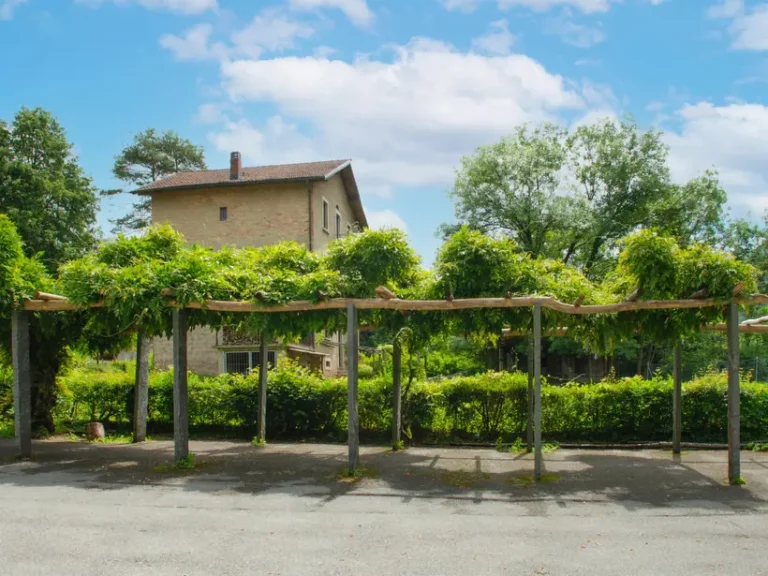roncaccio parcheg 768x576