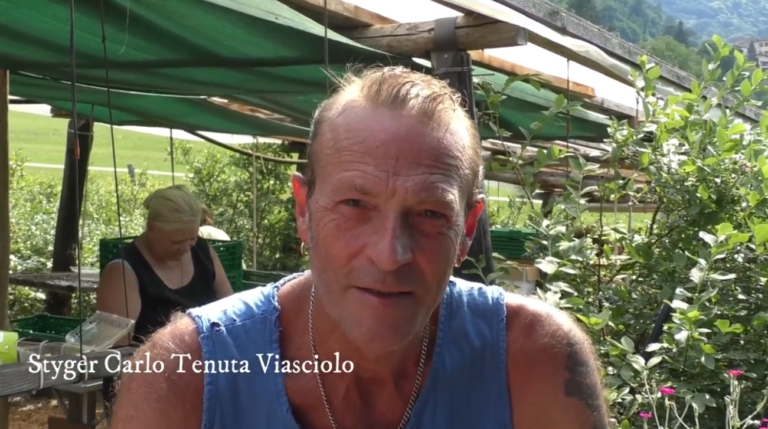 carlo styger tenuta viasciolo sessa 768x429
