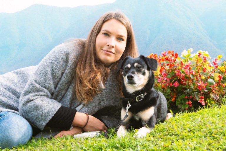 Foto con cane su prato 768x512