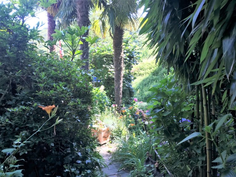 Giardino verso casa 768x576