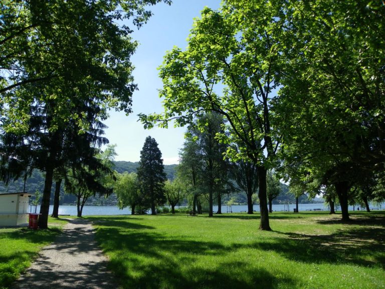 Parco al lago 768x576