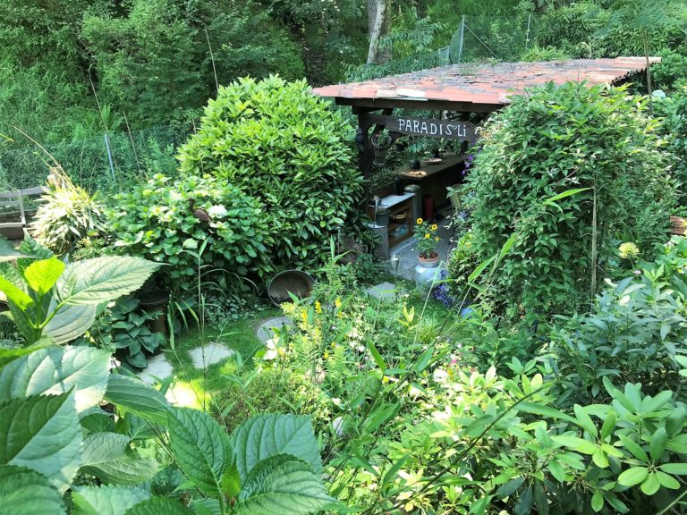 Pergola in giardino da sopra 768x576