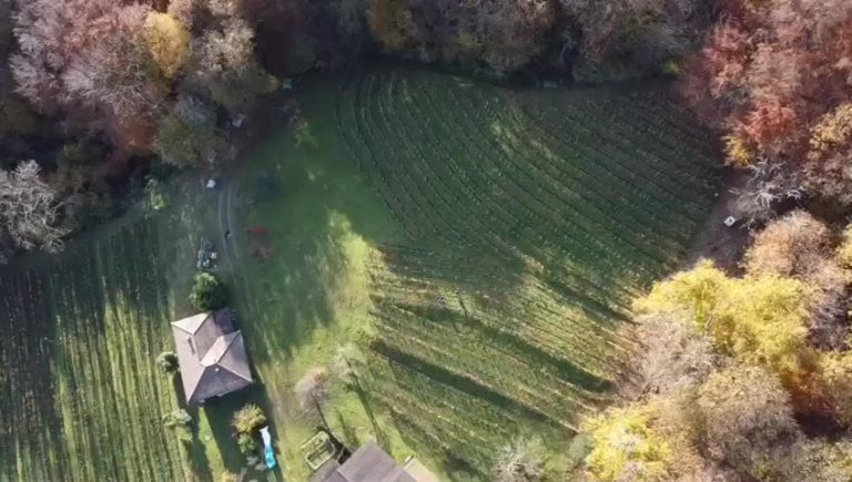 VID 20211115 WA0003 Trim 2 22 768x435