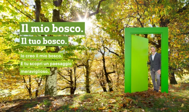 il mio bosco carlo it 768x456