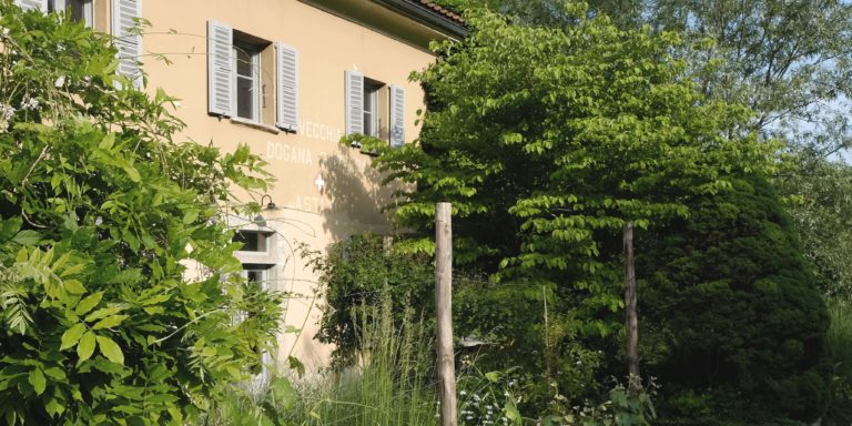 vecchia dogana 01 768x384