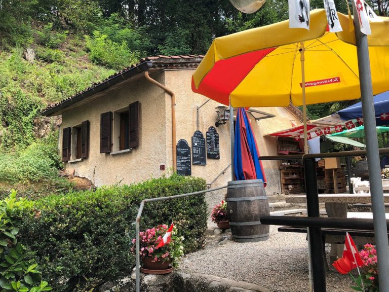 vista grotto sul bosco 768x576