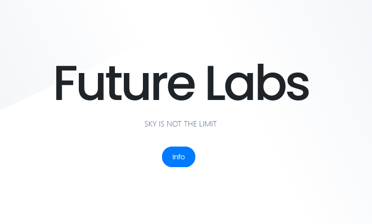 Screenshot 2023 11 16 at 16 44 35 Future Labs Advanced IT AI Apps Web Apps and Custom Web Systems