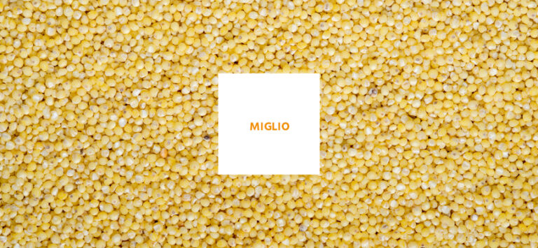 miglio 768x355