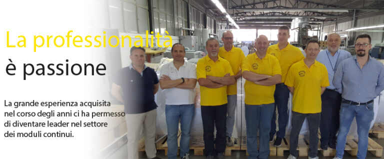 professionalita 768x318