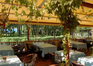 terrazza verso bosco 300x214