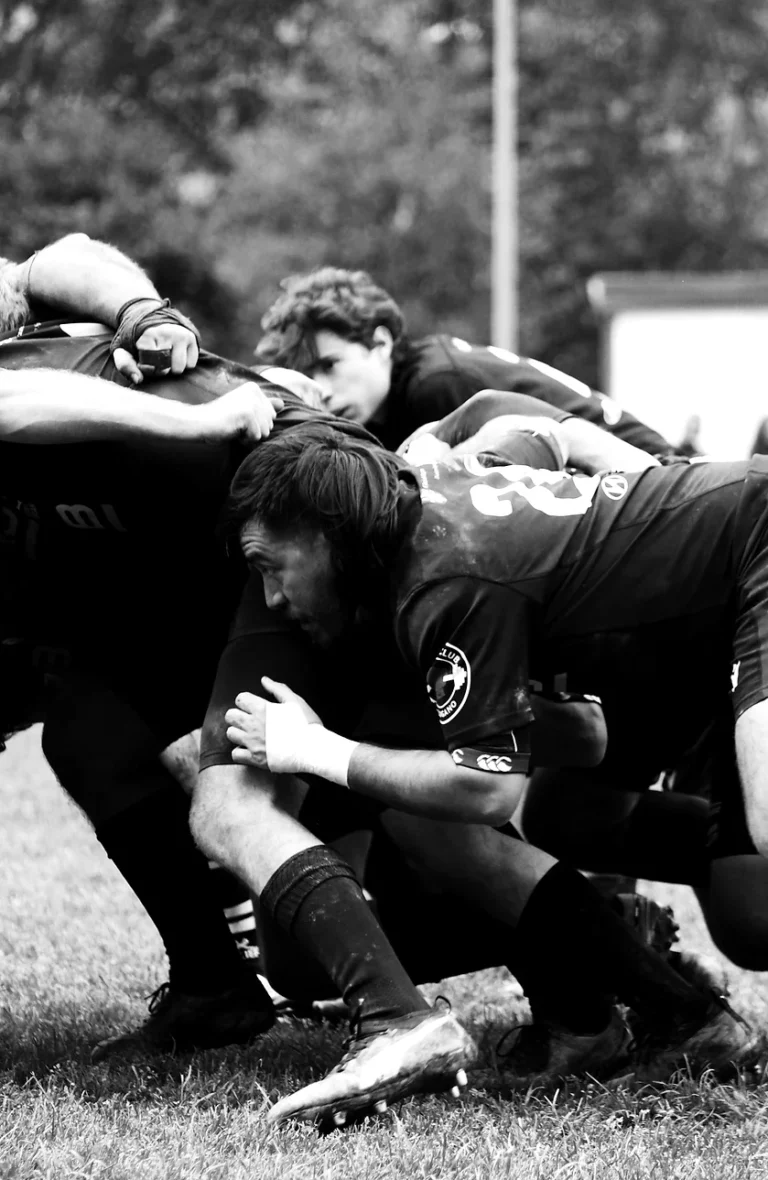 c52d3d f2f8cfb37fd34f45985fe1743199242emv2 768x1180