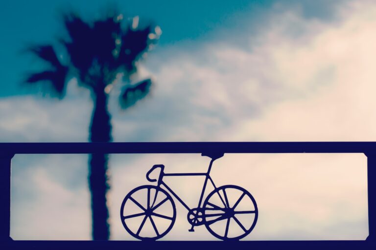 palma bicicletta ferro 768x512