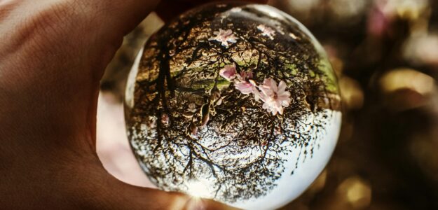 person holding ball focus on tree