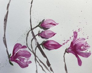 header fb 300x240