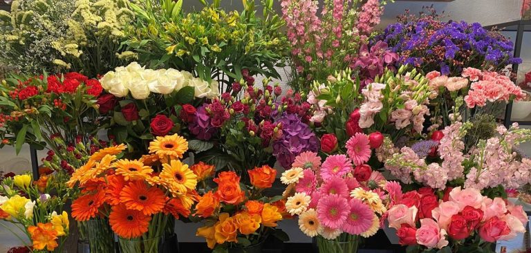 Lea s Flowers Sagl 2 2880w 768x366