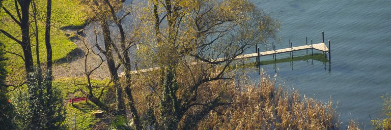 Slide 04 768x256