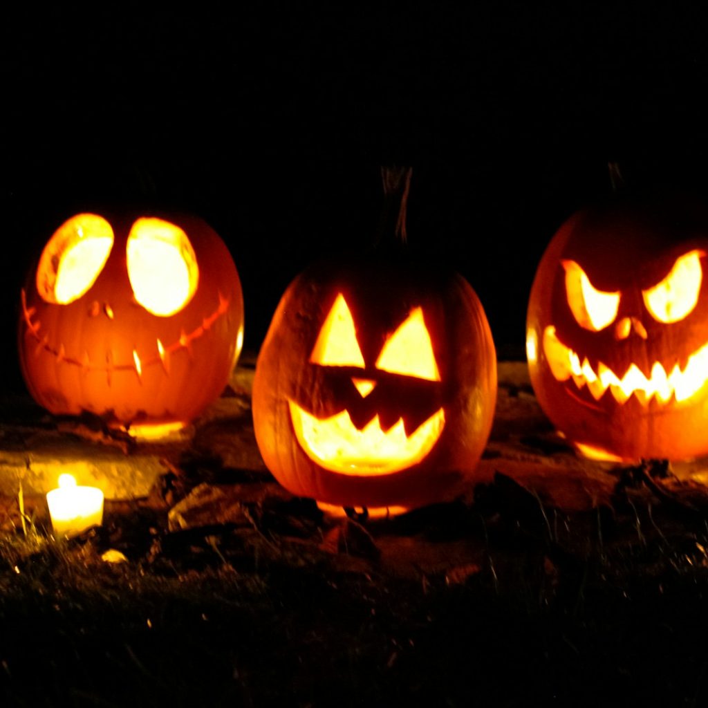 jack o lantern on brown dried leaves